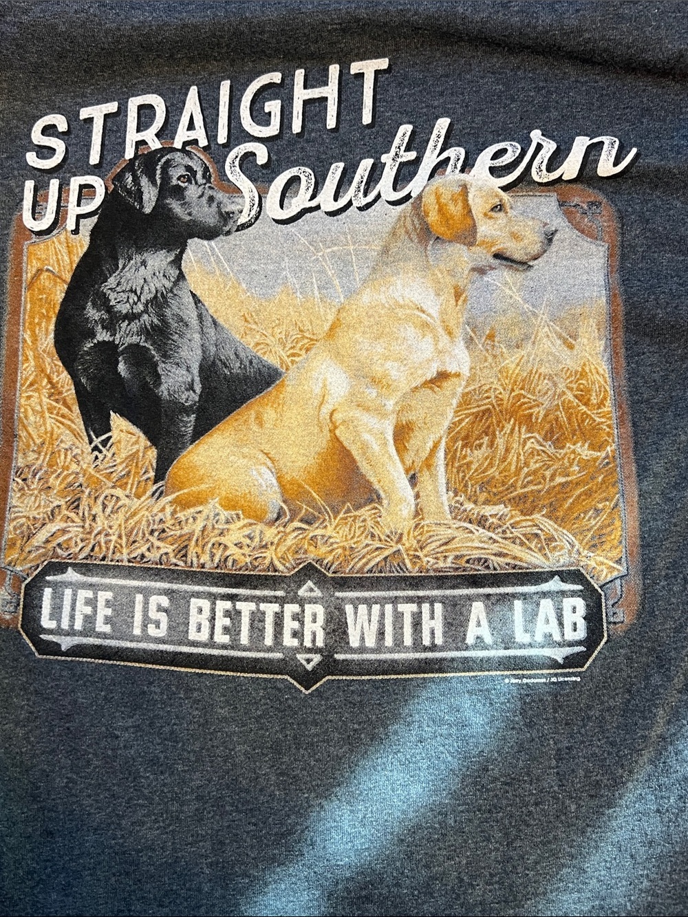 Men's Charcoal Long-Sleeve Crew T-Shirt Life is Better with a Lab S